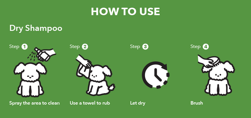 Shampoing Sec Shampoing Sec